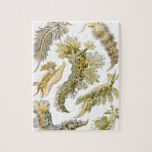 Puzzle Limaces de mer, escargots par Ernst Haeckel, Anima (Vertical)
