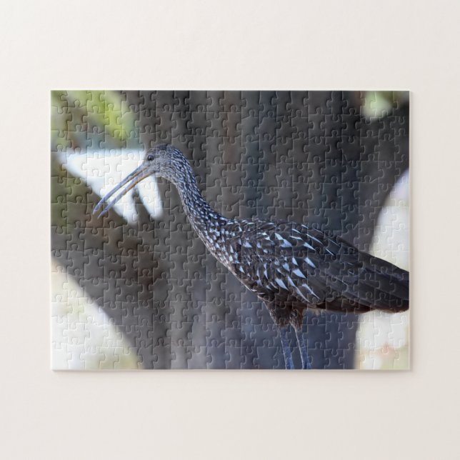 Puzzle Limpkin (Horizontal)