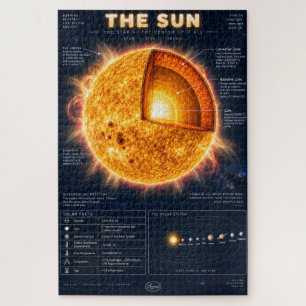 Puzzle L'infographie scientifique de la section transvers