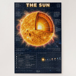 Puzzle L'infographie scientifique de la section transvers