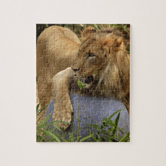 Puzzle Lion (Vertical)