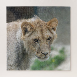 Puzzle Lion 002 par JAMFoto