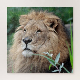 Puzzle Lion 003 par JAMFoto