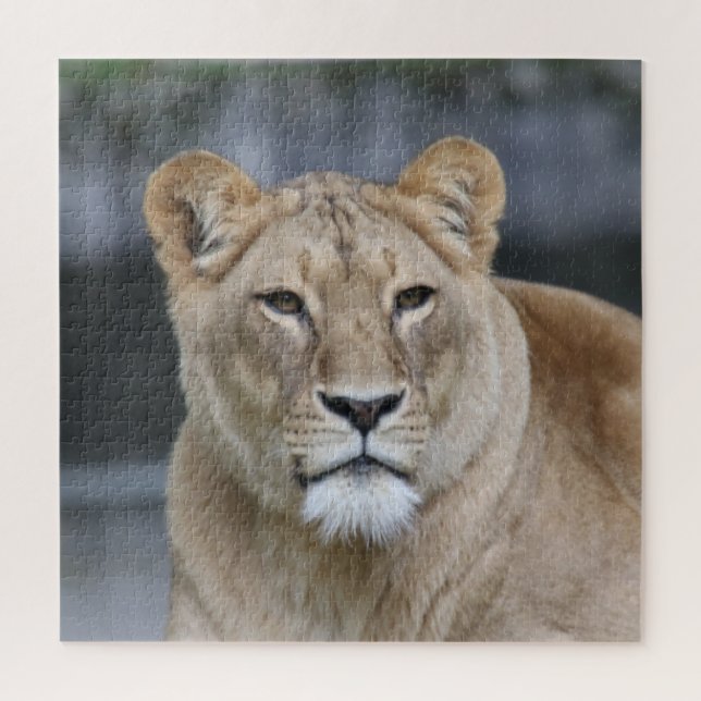 Puzzle Lion 004 (Vertical)