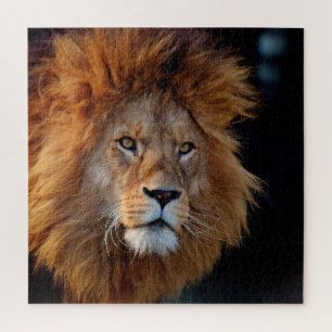 Puzzle Lion 010 by JAMFoto
