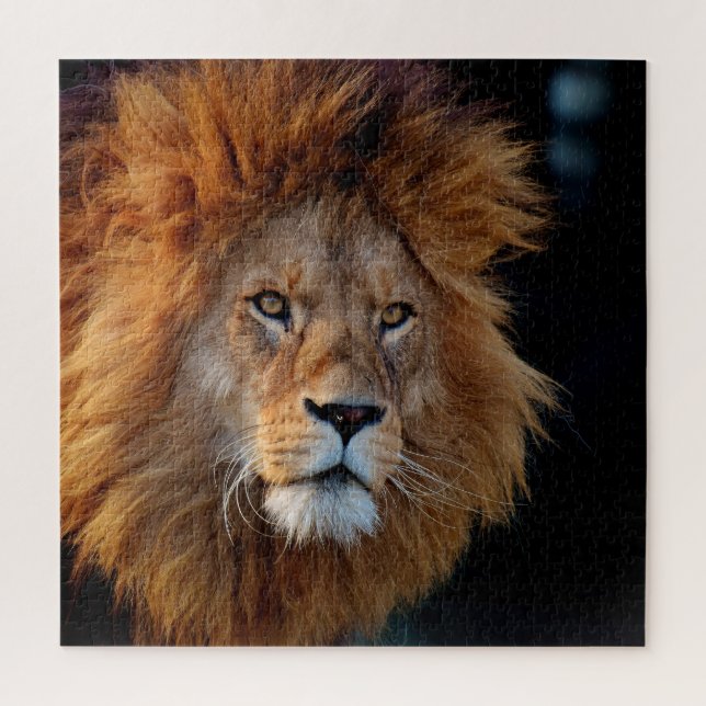 Puzzle Lion 010 par JAMFoto (Vertical)