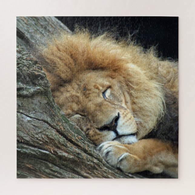 Puzzle Lion 013 par JAMFoto (Vertical)