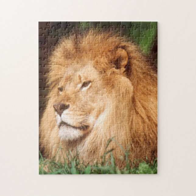 Puzzle Lion adulte mâle (Vertical)