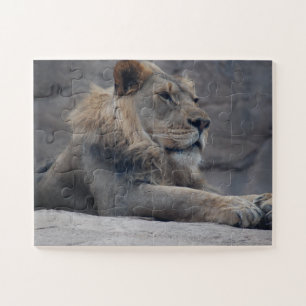 Puzzle Lion africain