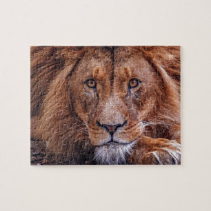 Puzzle Lion africain