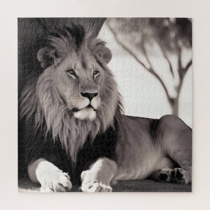 Puzzle Lion africain majoritaire noir et blanc