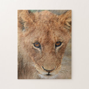 Puzzle Lion CUB