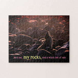 Puzzle Lion de mer bronzant