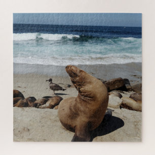 Puzzle Lion de mer Brown sur une plage