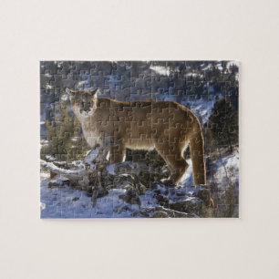 Puzzle Lion de montagne