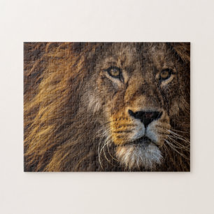 Puzzle Lion, Homme Adulte