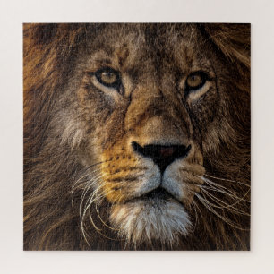 Puzzle Lion, Homme Adulte
