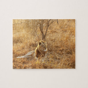 Puzzle Lion Jigsaw