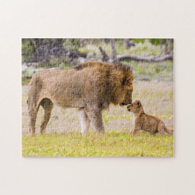 Puzzle Lion mâle alpha inspecte un ourson (Horizontal)