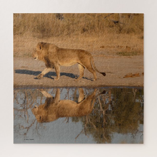 PUZZLE LION MÂLE RÉFLÉCHI (Vertical)