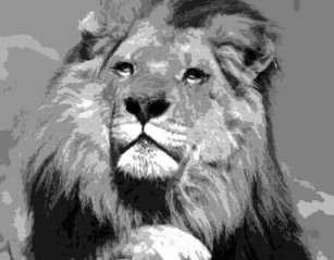 Puzzles Image Lion Zazzle Fr Les cookies nous permettent de personnaliser le contenu et les annonces, d'offrir des fonctionnalités relatives aux médias sociaux et d'analyser notre trafic. puzzles image lion zazzle fr