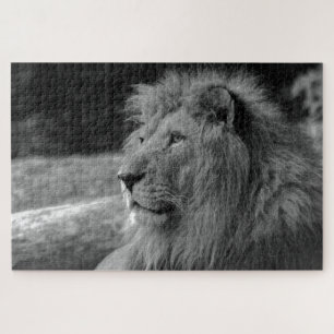 Puzzle Lion noir et blanc - Animal sauvage
