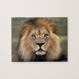 Puzzle Lion - roi de la jungle