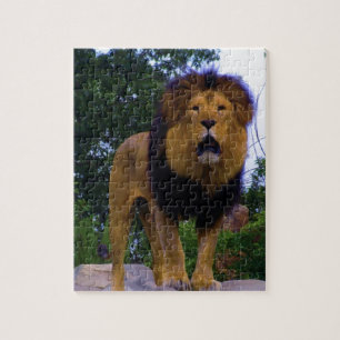 Puzzle Lion sur un rocher