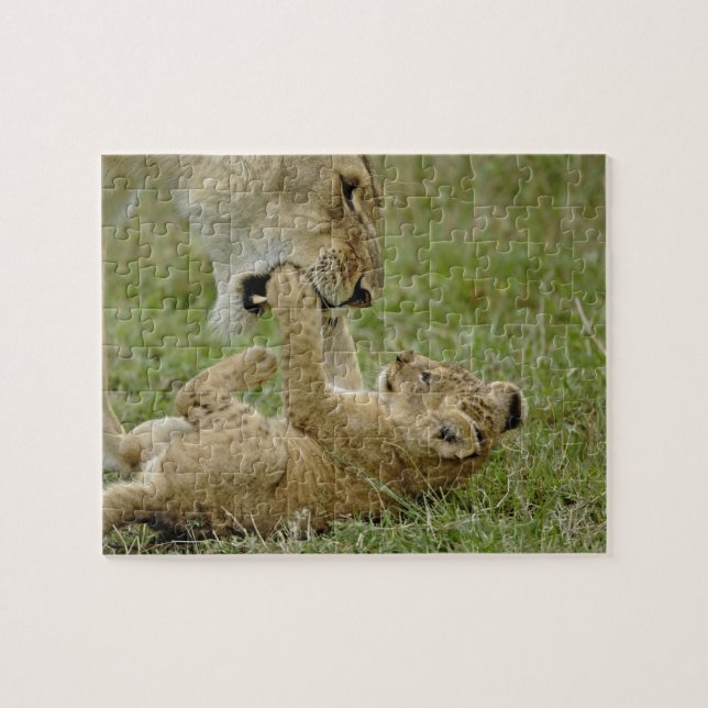Puzzle Lionceau Jouant (Horizontal)