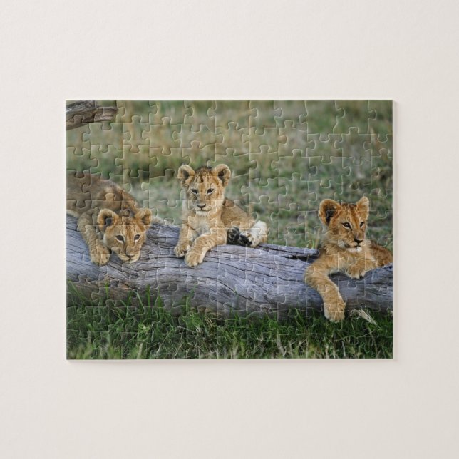 Puzzle Lionceaux sur rondin (Horizontal)