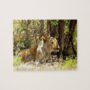 Puzzle Lioness