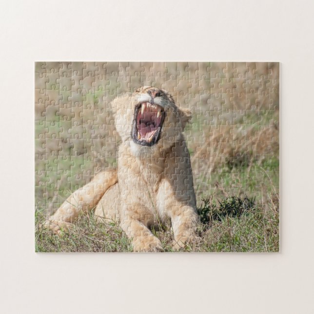 Puzzle Lioness (Horizontal)