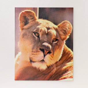 Puzzle Lioness