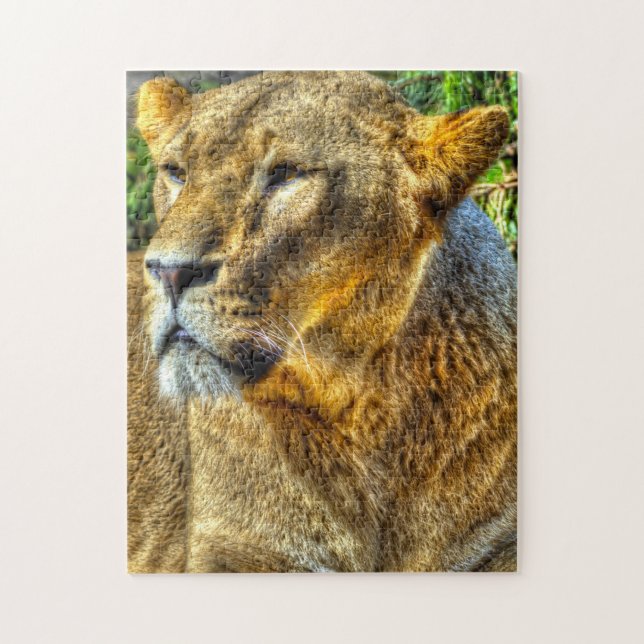 Puzzle Lioness Big Cats. (Vertical)