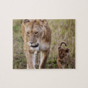Puzzle Lionne avec son petit