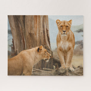 Puzzle Lions femelles scoutant aux arbres morts