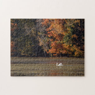 Puzzle Liquide du cygne et de l'automne