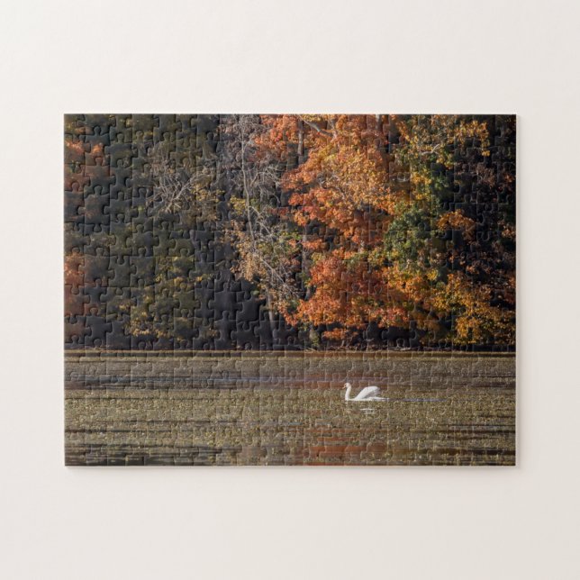 Puzzle Liquide du cygne et de l'automne (Horizontal)