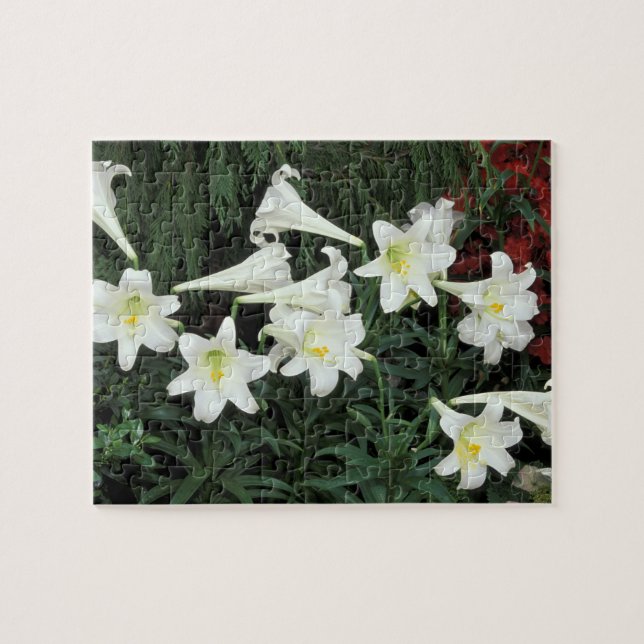 Puzzle Lis de Pâques (Lilium regale) (Horizontal)
