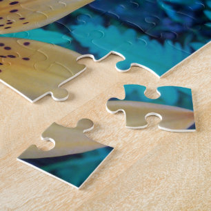 Puzzle Lis tigré américain