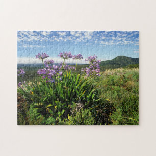 Puzzle Lisianthus d'Afrique (Agapanthus praecox), Mossel