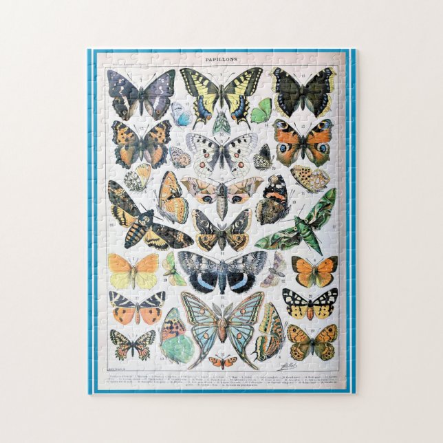 Puzzle Liste des papillons Adolphe Millot (Vertical)