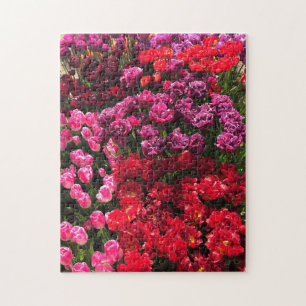 Puzzle Lit de jardin rouge, violet et rose Tulip, Oregon