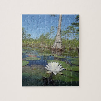 Puzzle Lit d'eau 2