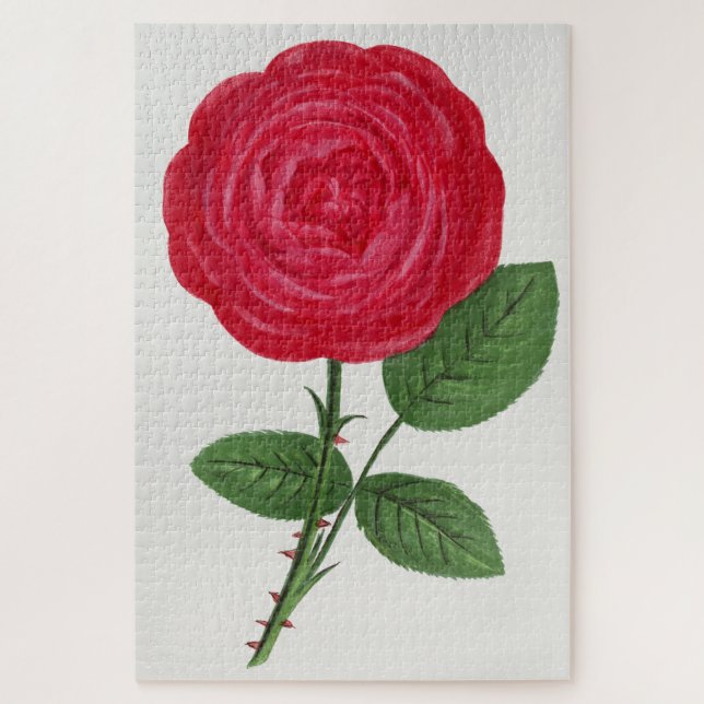 Puzzle Lithographie de rose antique, François-Frédéric Gr (Vertical)