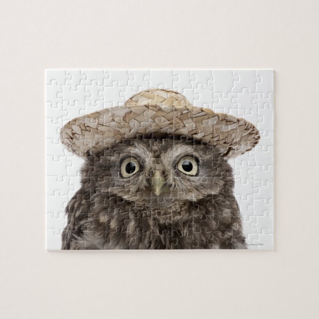Puzzle Little Owl wearing a straw a (Horizontal)
