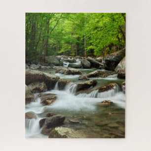 Puzzle Little Pigeon River at Greenbrier
