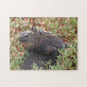 Puzzle Lizard