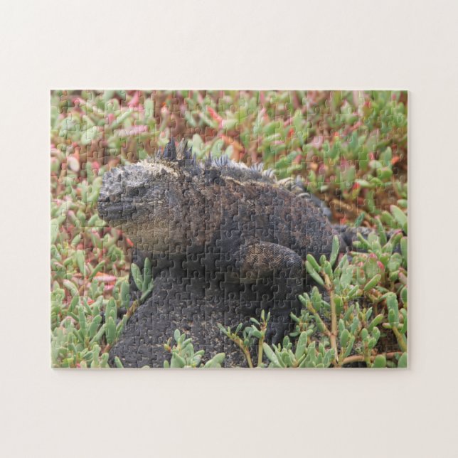 Puzzle Lizard (Horizontal)