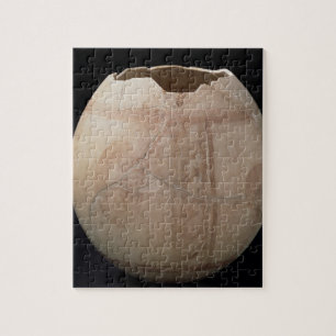 Puzzle L'oeuf d'autruche a coupé sous forme de vase de